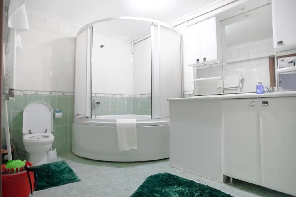 Large Central Apartment In A Quiet Area 40 Istanbul
